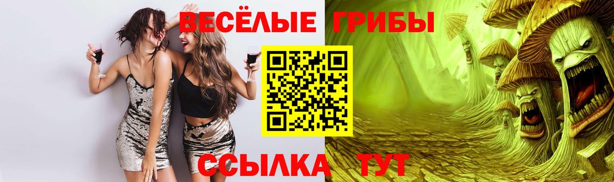 Псилоцибиновые грибы мицелий Котлас